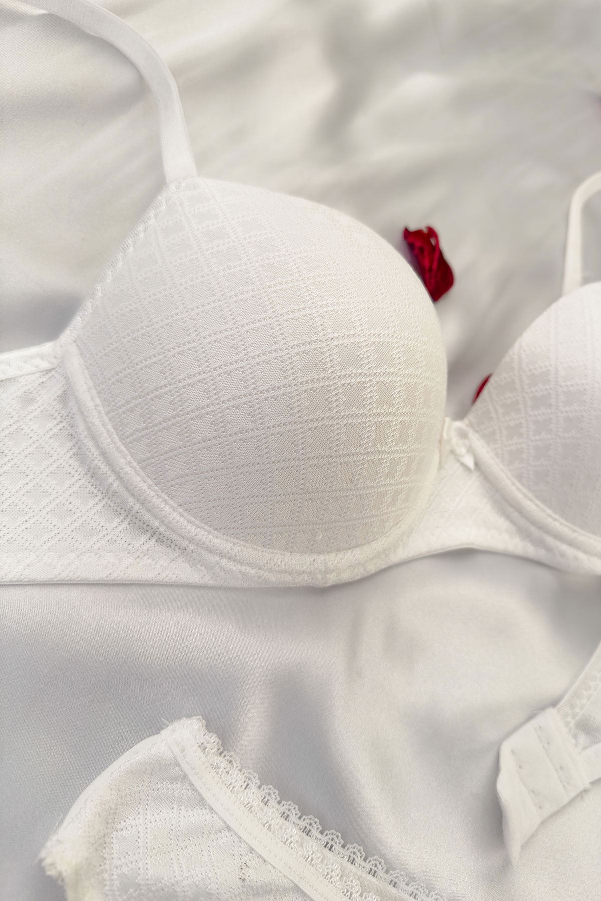 Destekli Jakar Desenli Sütyen Takım Ekru