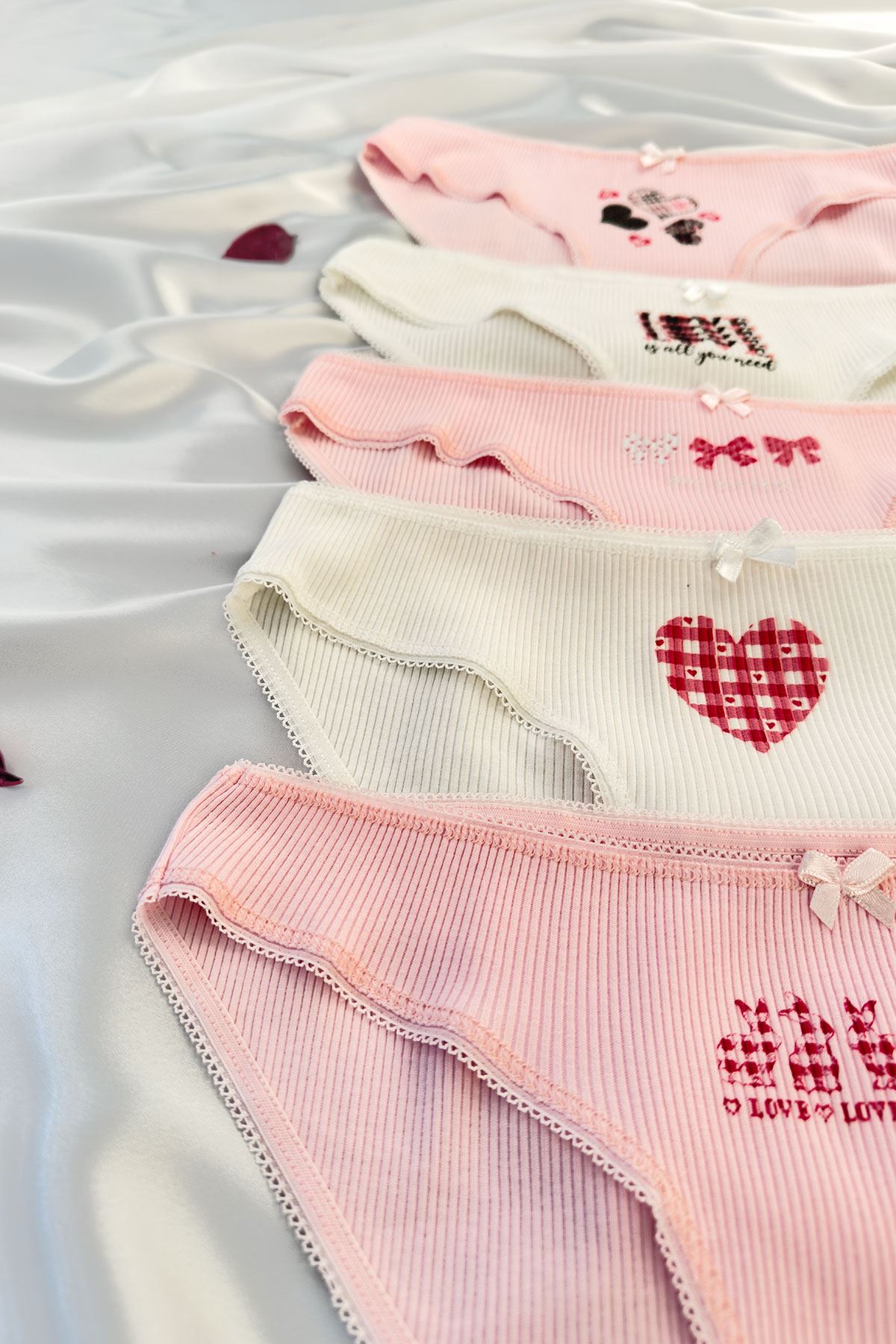 5'li Baskılı Bikini Külot Set