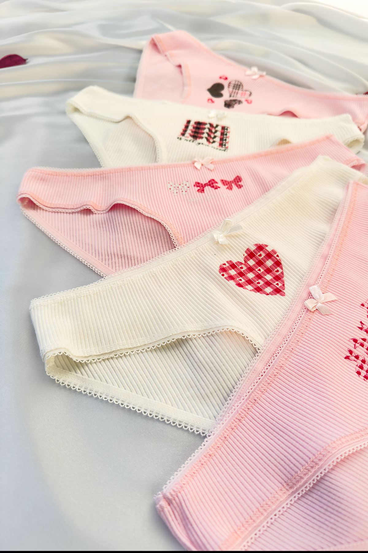 5'li Baskılı Bikini Külot Set