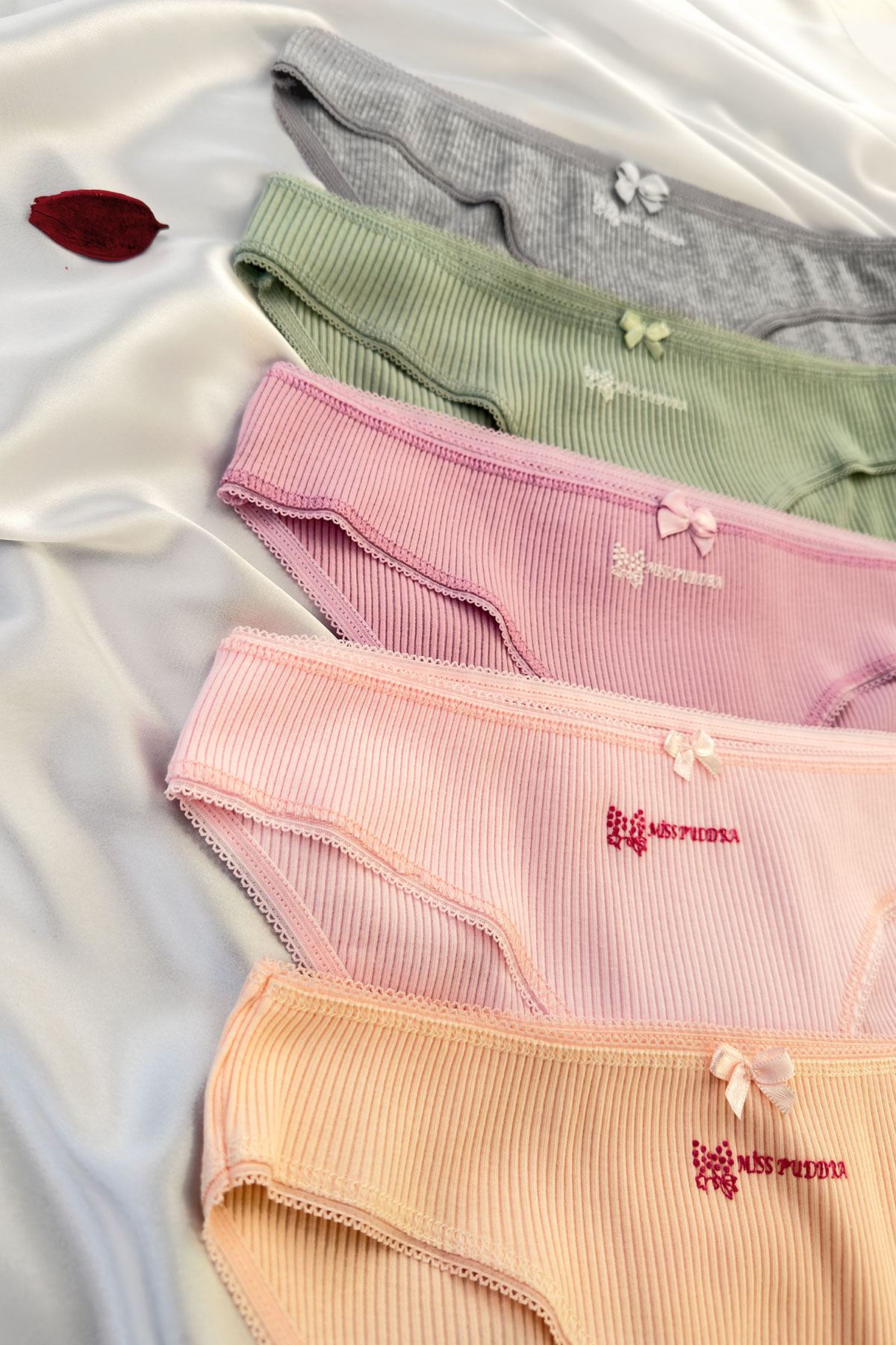 5'li Baskılı Bikini Külot Set