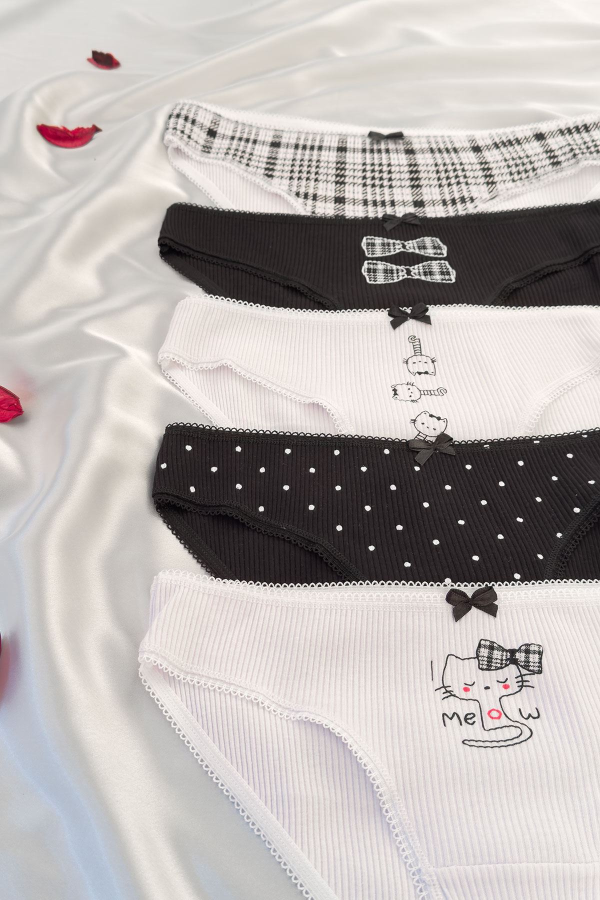 5'li Baskılı Bikini Külot Set