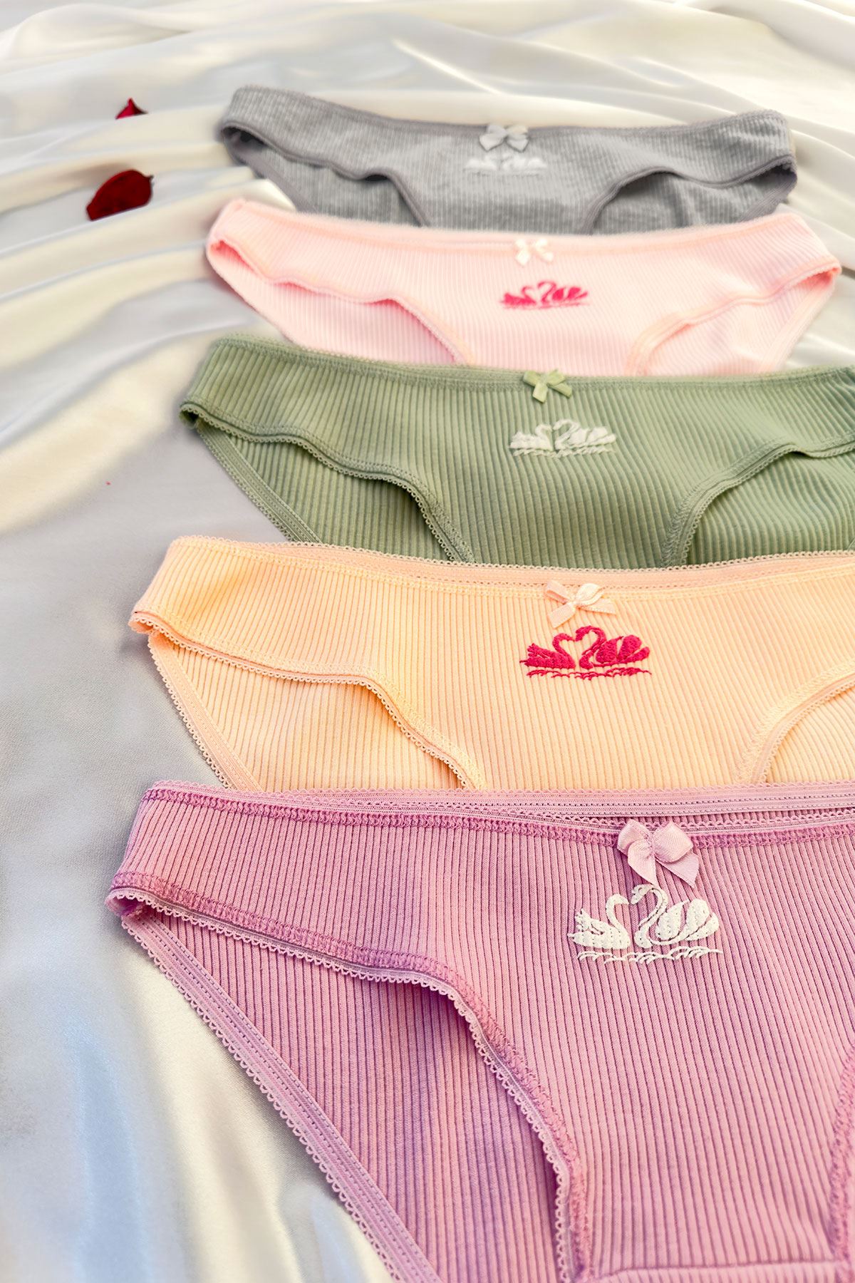 5'li Baskılı Bikini Külot Set