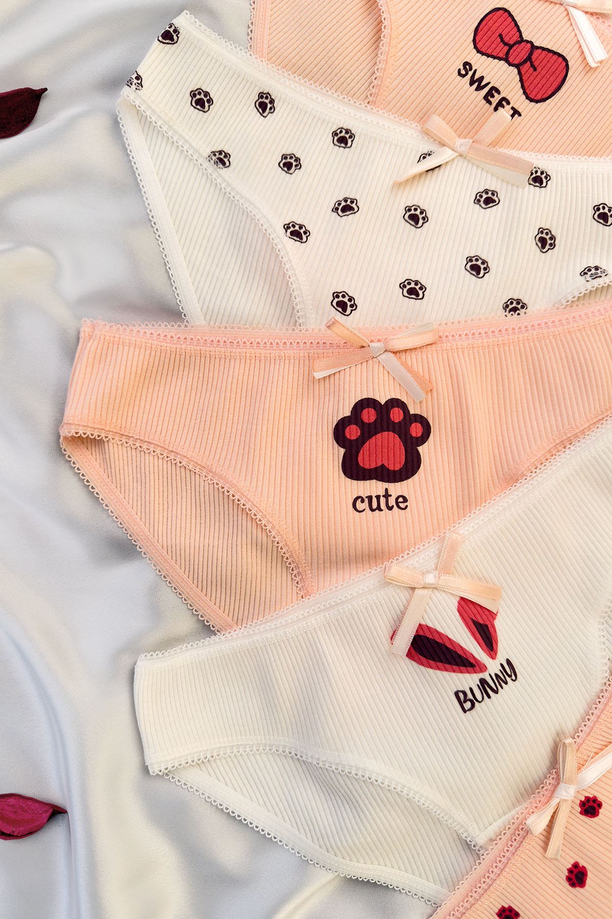 5'li Baskılı Bikini Külot Set