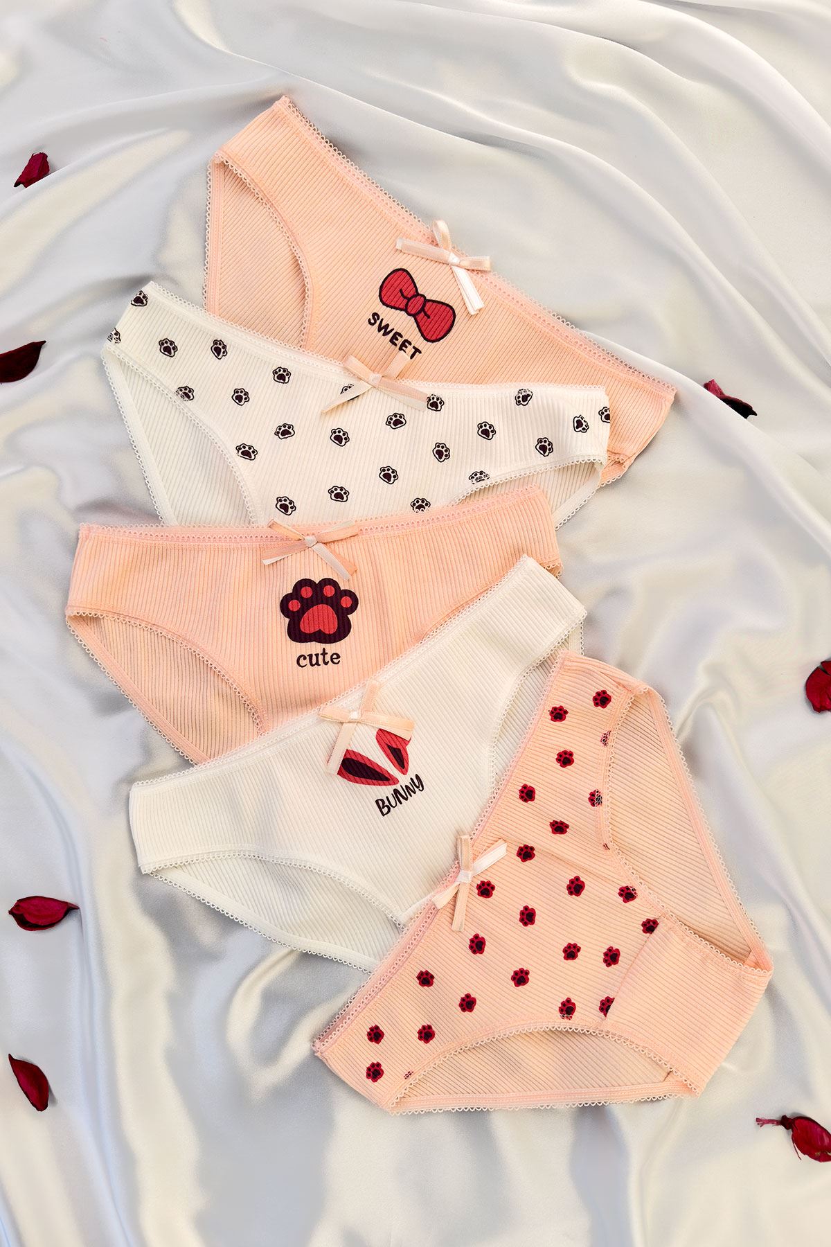 5'li Baskılı Bikini Külot Set