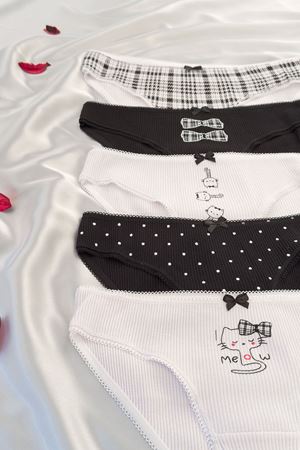 5'li Baskılı Bikini Külot Set